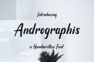 Andrographis: A Sweet, Lively Script Font for Small Business Branding