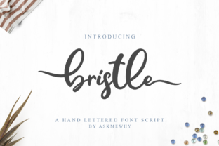 Bristle: A Script Font That Elevates Branding with Grace